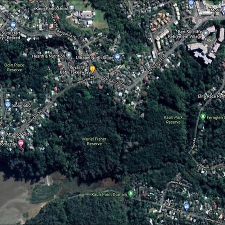 Fernglen B&B Auckland Ngoại thất bức ảnh