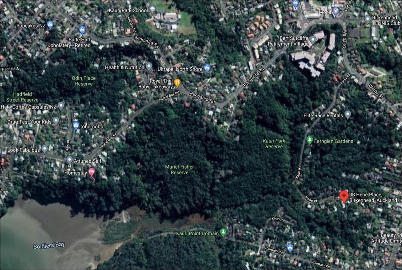 Fernglen B&B Auckland Ngoại thất bức ảnh